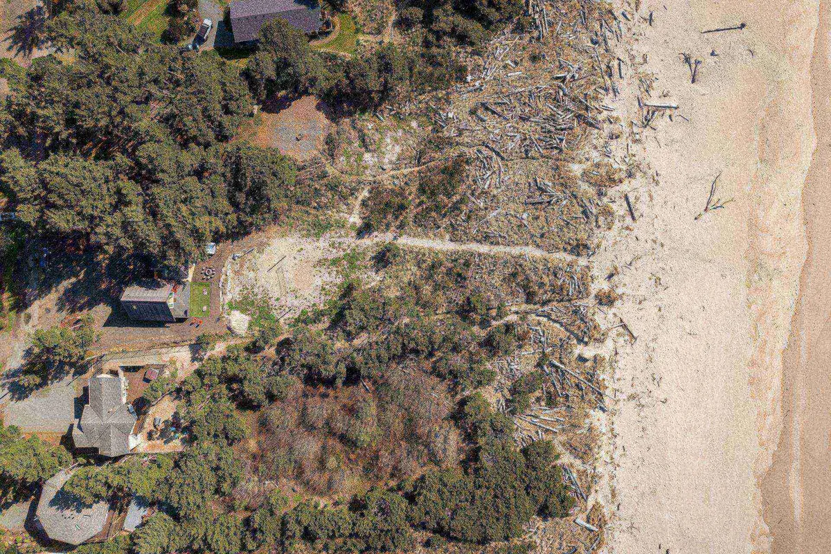 A peaceful beach scene featuring a sandy shoreline, driftwood, trees, and a winding pathway leading to nearby houses. The scene is tranquil, inviting guests and their pets for beach walks, nature exploration, and relaxing in the coastal environment.